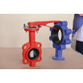 Cast Iron Body-Midline Valve to German Standard